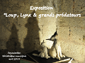 Expo Loup, Lynx... 2013